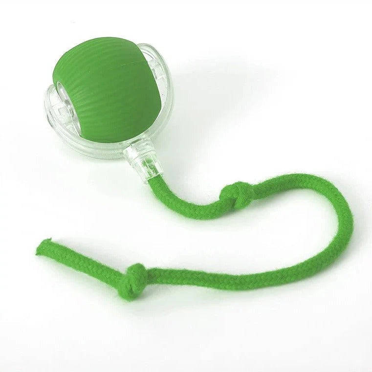 Motion Rolling Dog Ball Toy with Tail Attachment