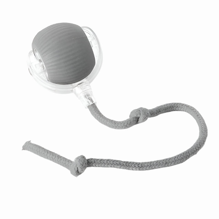 Motion Rolling Dog Ball Toy with Tail Attachment