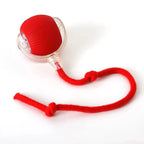 Motion Rolling Dog Ball Toy with Tail Attachment