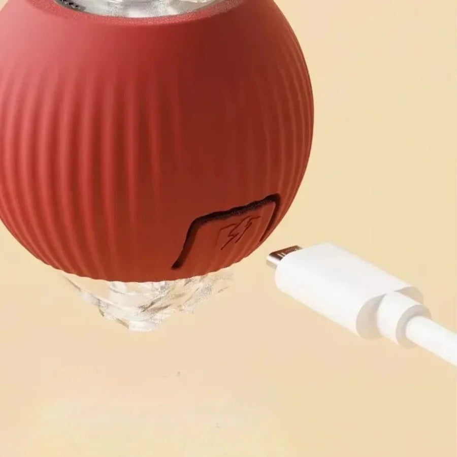 Motion Rolling Dog Ball Toy with Tail Attachment