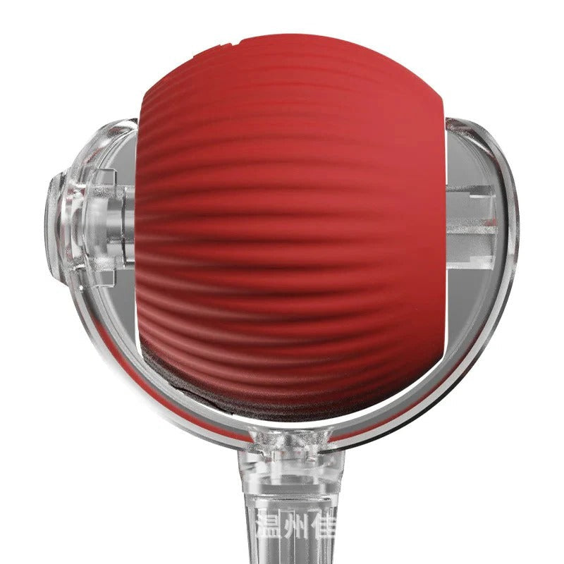 Motion Rolling Dog Ball Toy with Tail Attachment