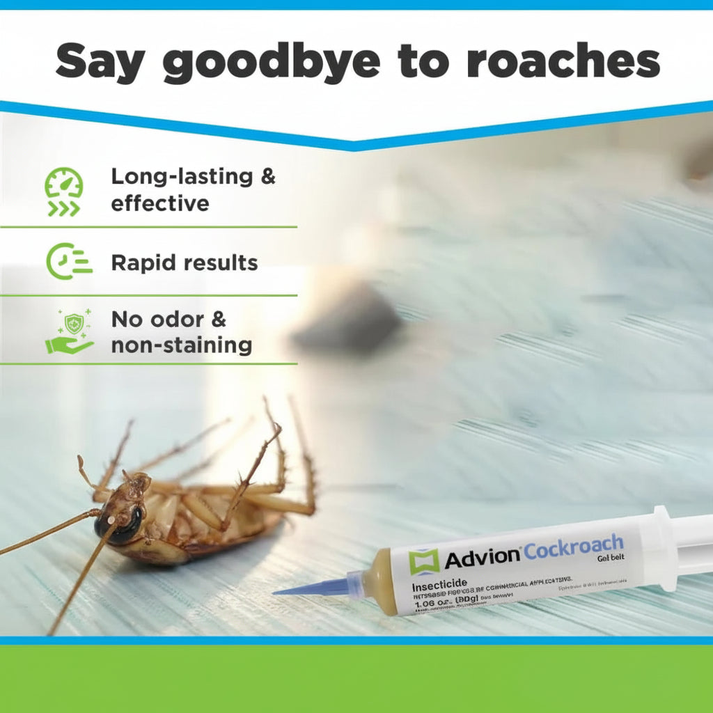 Cockroach Gel Bait Syringe (30 g) — Targeted Indoor Use