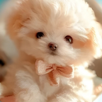 Interactive Plush Puppy Toy with Motion and Sound