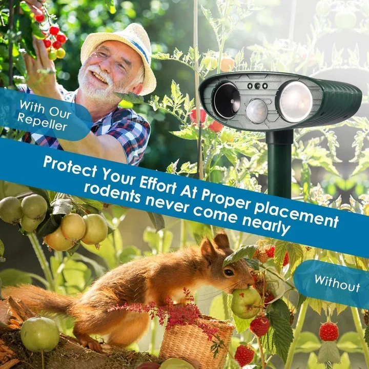 Solar Ultrasonic Chipmunk Repeller with Motion Sensor